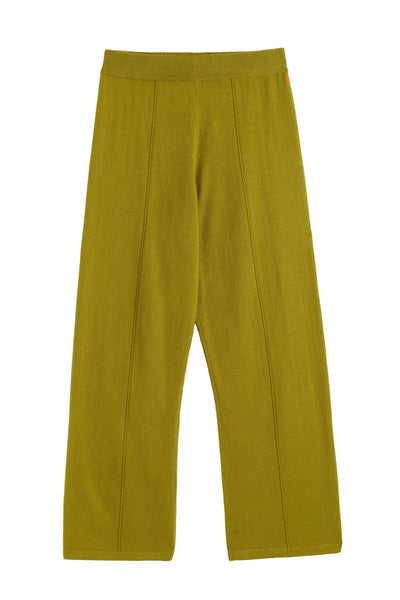 Mustard yellow pants on a white background